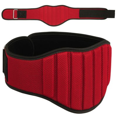 Weight Lifting Belts